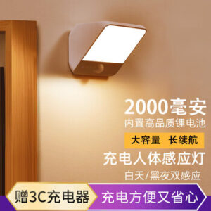 Smart Human Body Sensor Light